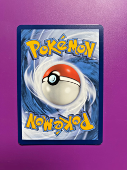 2 Trainer Gallery cards from Silver Tempest - Braixen TG01 & Druddigon TG09 - Image 4