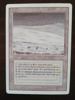 MTG Tundra Revised Edition - NM Condition - Image 1