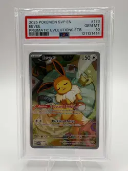 2025 POKEMON SVP EN-SV BLACK STAR PROMO #173 EEVEE PSA 10 - Image 1
