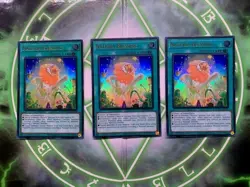 3x Naturia Blessing 1st Edition Ultra Rare MP23-EN204 Yu-Gi-Oh! NM - Image 1