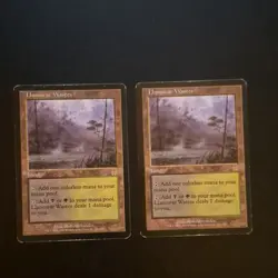 Magic: The Gathering Llanowar Wastes x2 Apocalypse Land Cards - Image 1