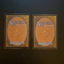 Magic: The Gathering Llanowar Wastes x2 Apocalypse Land Cards - Image 2