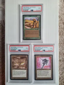 MTG 3 Antiquities Cards All PSA 9 MINT Citanul Druid, Feldon's Cane, Ornithopter - Image 2