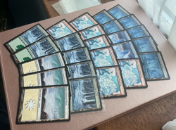 25 X Snow covered lands MTG Magic the gathering - Image 2