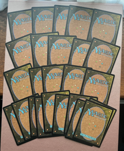 25 X Snow covered lands MTG Magic the gathering - Image 3