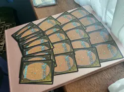 25 X Snow covered lands MTG Magic the gathering - Image 4