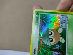 Seedot 60/100 EX Crystal Guardians Reverse Holo Vintage Pokemon Card Excellent - Image 3