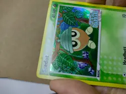 Seedot 60/100 EX Crystal Guardians Reverse Holo Vintage Pokemon Card Excellent - Image 5