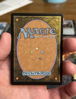 Enlightened Tutor (Showcase) Avatar: The Last Airbender - Image 2