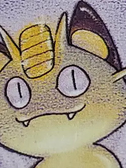 MEOWTH Pokemon 1st Edition Jungle 56/64 1999 WOTC NM - Image 4