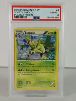 Sceptile - Plasma Freeze - POKEMON - 8/116 - Holo Rare - 2013 - PSA 8 - Image 1