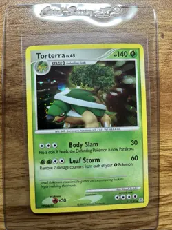 Private 13 Card Lot Jolteon Aerodactyl Eeve Charmeleon Torterra Pelipper Mew - Image 3