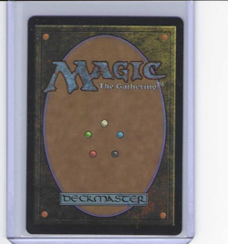 Magic MTG Avatar The Last Airbender Aang's Shelter Borderless M0007 - Image 2