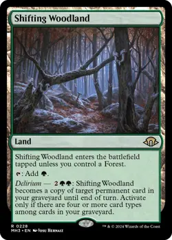 MTG Shifting Woodland - 228 / English / Near Mint - Image 1