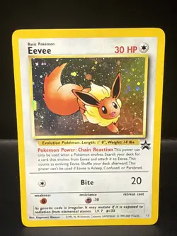 Pokemon - Eevee 11/53 - Wotc - Black Star Promo Holo AM - Image 2