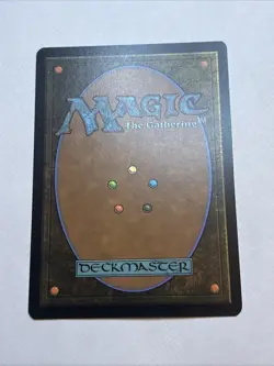 Hunting Grounds (Borderless) Dominaria Remastered Regular - Image 2