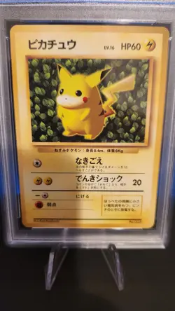 Pokemon Ivy Pikachu Japanese Promo Non Glossy 1996 PSA 5 - Image 3