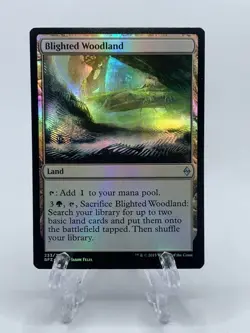 Blighted Woodland - Battle for Zendikar - MTG - Foil UNC - Magic the Gathering - Image 1