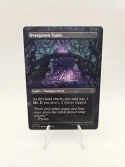 Overgrown Tomb (Borderless) Lorwyn Eclipsed Regular - Image 2