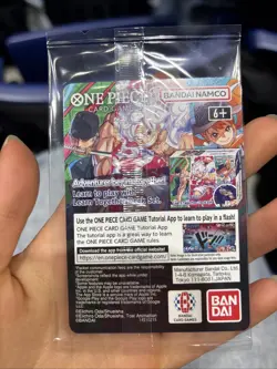 One Piece Monkey D. Luffy College Basketball US Voyage Promo Card SHIPS TODAY! - Image 2
