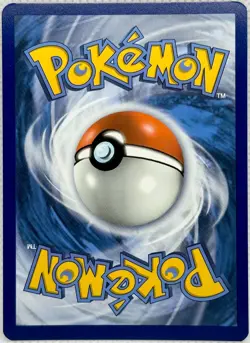 Cinccino SWSH009 Sword & Shield Promo Cards Holo NM - Image 2