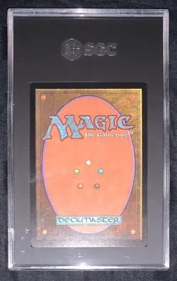 Rhystic Study SGC 9.5 Graded Prophecy MTG - Image 2