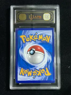 2023 Pokemon TCG S-Chinese PROMO Friends in Alolan 081/S-P Holo APH 10 -YB13 - Image 2