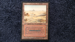 BADLANDS Revised Italian Foreign Black Border (FBB) MTG Light play - Image 2