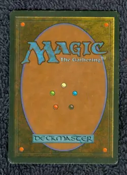 BADLANDS Revised Italian Foreign Black Border (FBB) MTG Light play - Image 3