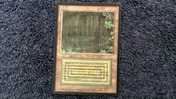 BAYOU Revised Italian Foreign Black Border (FBB) MTG - Image 2