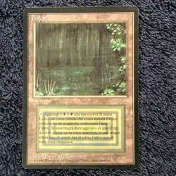 BAYOU Revised Italian Foreign Black Border (FBB) MTG - Image 4
