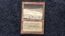 TUNDRA Revised Italian Foreign Black Border (FBB) MTG Moderate Play - Image 2