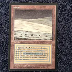 TUNDRA Revised Italian Foreign Black Border (FBB) MTG Moderate Play - Image 4