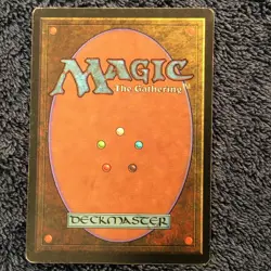 TUNDRA Revised Italian Foreign Black Border (FBB) MTG Moderate Play - Image 5