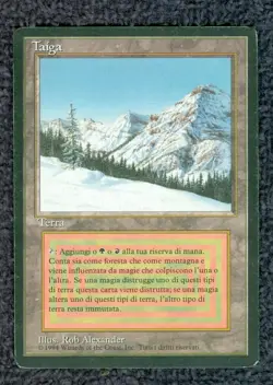 TAIGA Revised Italian Foreign Black Border (FBB) MTG - Image 1