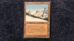 TAIGA Revised Italian Foreign Black Border (FBB) MTG - Image 2