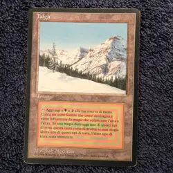 TAIGA Revised Italian Foreign Black Border (FBB) MTG - Image 4