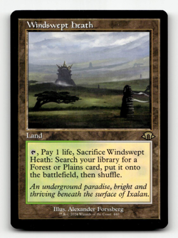 MTG Windswept Heath (Retro Frame) #440 - Modern Horizons 3 - Image 1