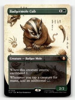 MTG - Badgermole Cub (Borderless) #326 - Avatar: The Last Airbender - Image 1