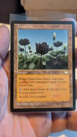 WOTC MTG: Magic the Gathering Weatherlight Complete Set NM - Image 2