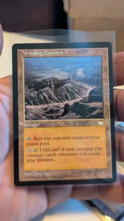 WOTC MTG: Magic the Gathering Weatherlight Complete Set NM - Image 3