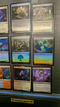 Lorwyn Eclipsed 15 Card Lot Brand New, (Includes Hexing Squelcher) - Image 5