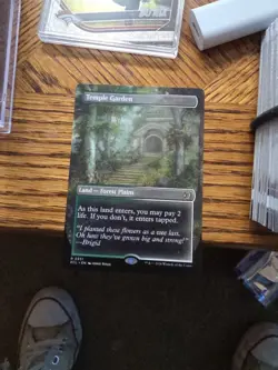 1 x Temple Garden - Borderless - Lorwyn Eclipsed - NM-Mint - MTG - Image 1