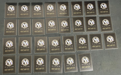 Magic Pro Tour 1996 NYC "Hammer"- 66 Cards MISSING MOST SIDEBOARD MTG - Image 3