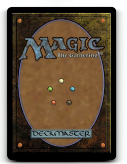 FOIL - MTG - Abandoned Air Temple #263 - Avatar: The Last Airbender - Image 2