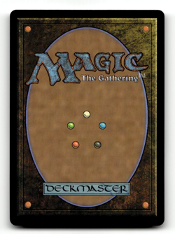 MTG Zuko, Redeemed - Rhys the Redeemed (Borderless) #52 Avatar The Last Airbende - Image 2