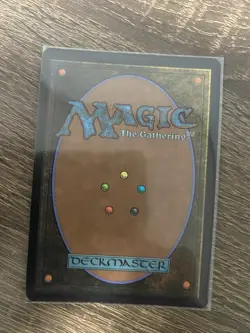 Dol Amroth Minamo School at Water's Edge Commander - Image 2