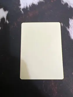 Pokemon Pokeka Sticker Card Spring 2020 Let's Have Fun Japanese Promo - Image 2