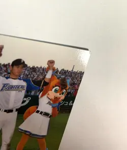 Shohei Ohtani 2014 Calbee Baseball Card Checklist C-22 Nippon Ham Fighters B - Image 2