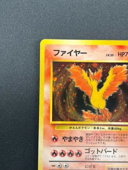 [NM] Moltres Pokemon Card Japanese No.146 Holo Fossil Set 1996 Vintage 17J46 - Image 4